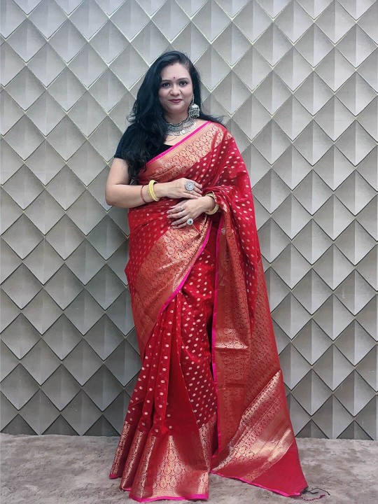 RED ORGANZA BANARSI SAREE